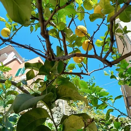 Lemons House Apartman