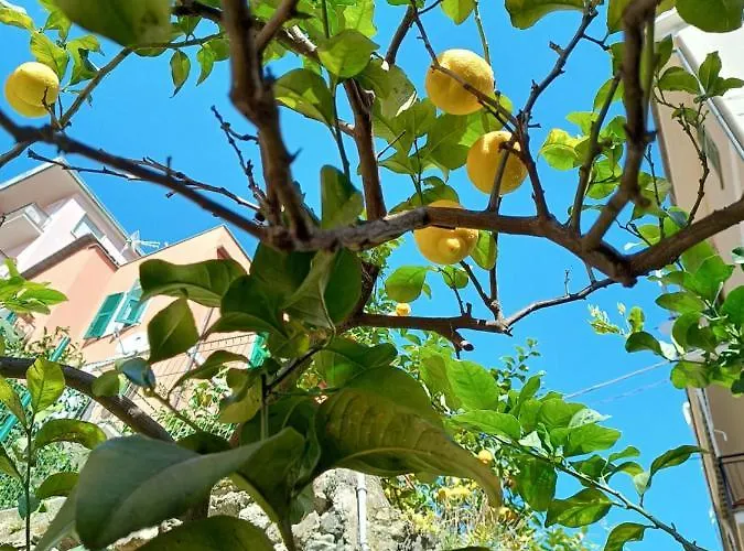 Lemons House Lejlighed